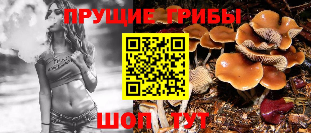 Галлюциногенные грибы Magic Shrooms Феодосия